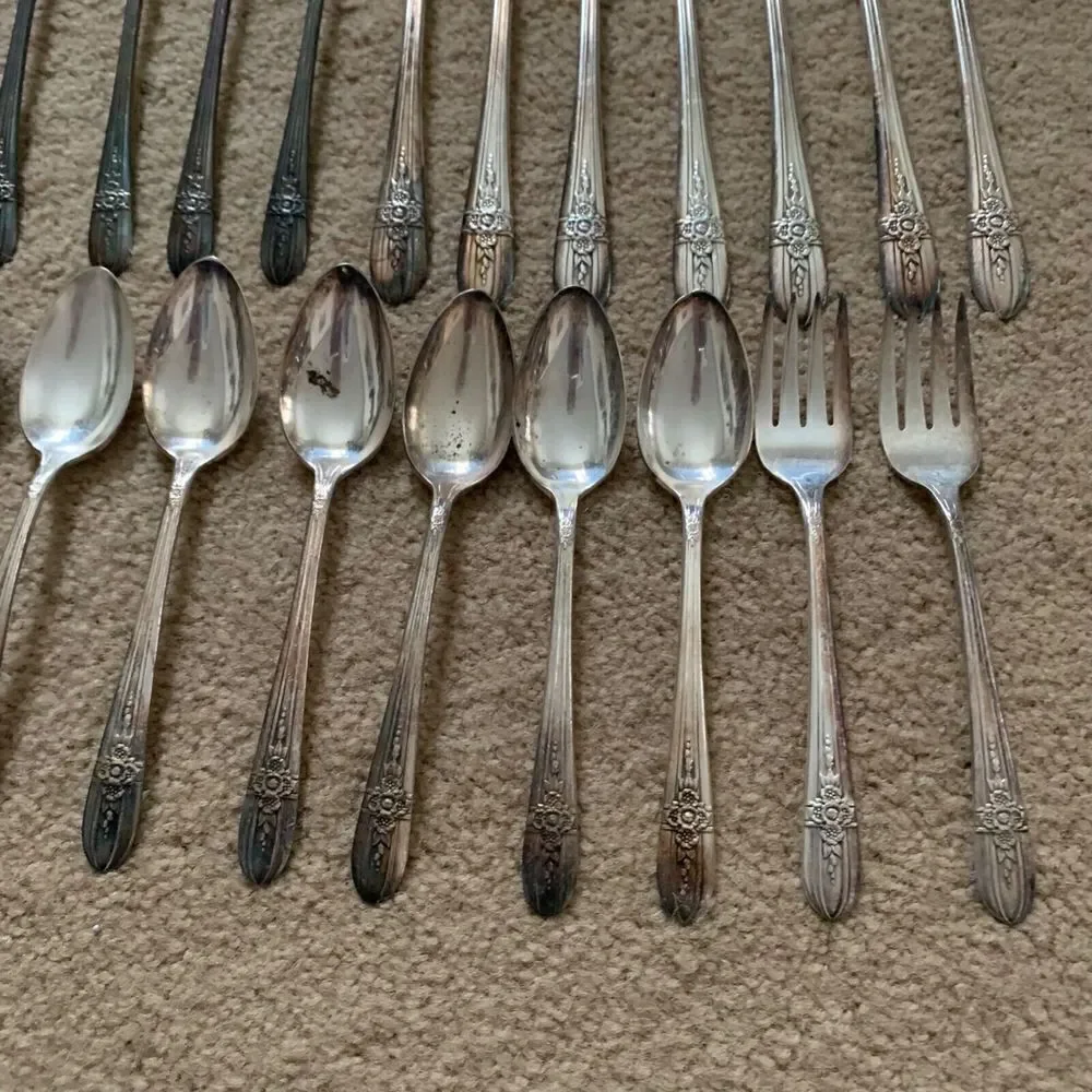Wm Rogers Mfg. Co. Extra Plate IS TRIUMPH 40 Piece Flatware Set
